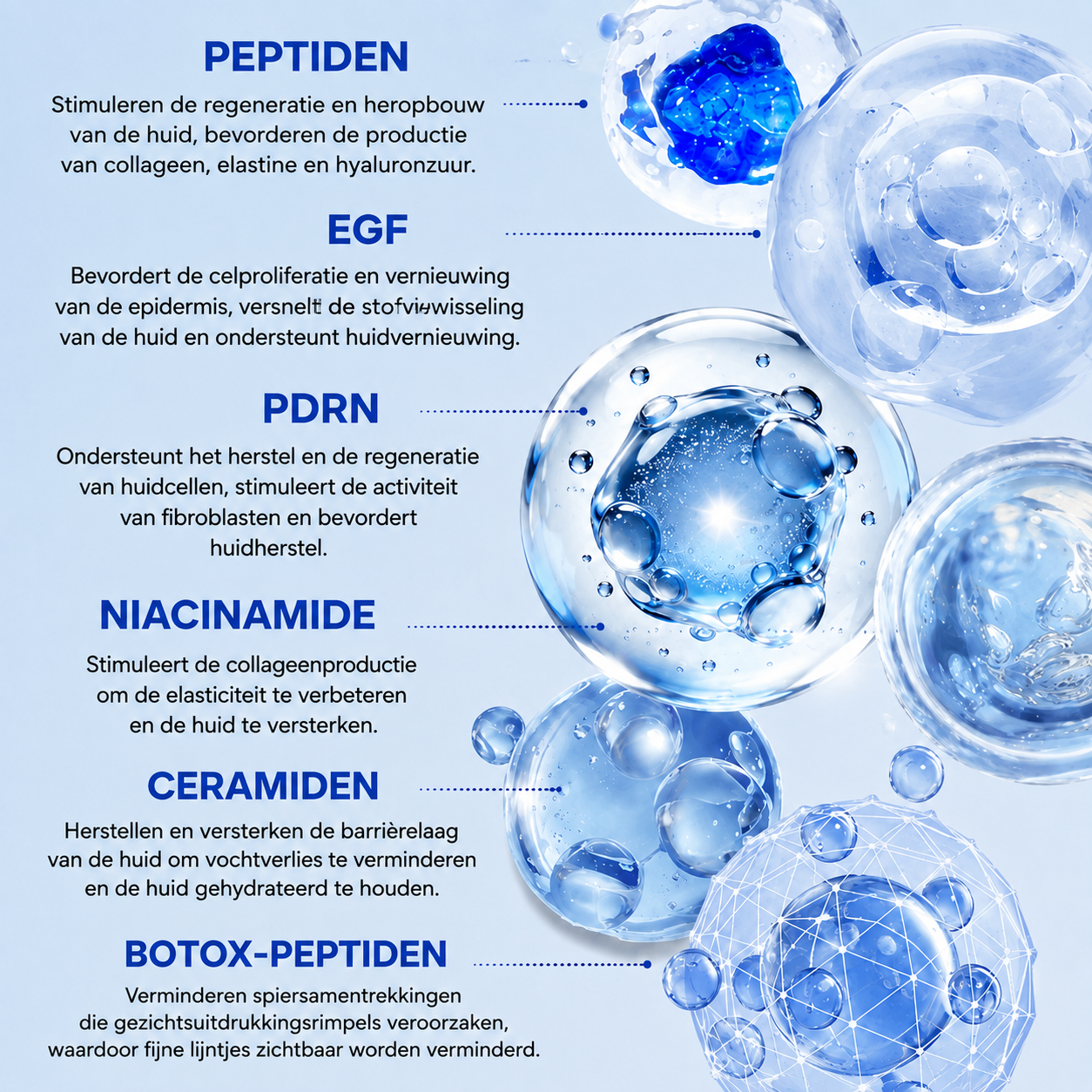 🪁💞𝐍𝐚𝐭𝐫𝐚𝐯𝐨𝐫® PDRN Anti-Rimpelverzorging – Liftende en Verstevigende Crème